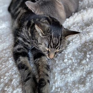 Meet your Posher, Karly